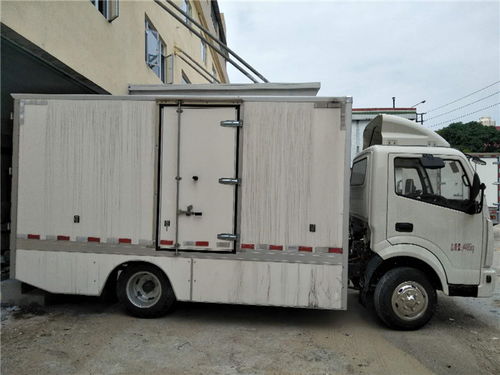 神陽新能源 增城智造，以安全可靠定義小型物流車新標桿