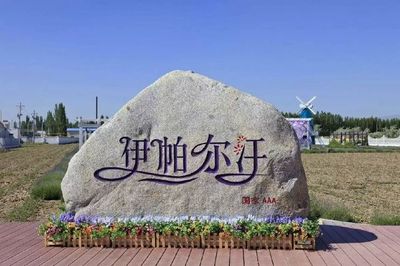 走進中國著名工廠 探索伊利與片仔癀的工業魅力與休閑觀光